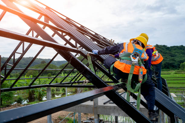 Professional Roofing Contractor in Mendenhall, MS