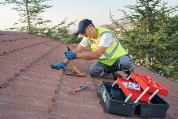 Best Roof Gutter Cleaning  in Mendenhall, MS